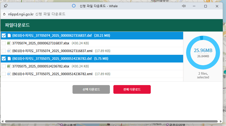 다운로드 목록에서 XLSX와 XML을 제외하고 DXF 파일 두 개만 선택한 화면